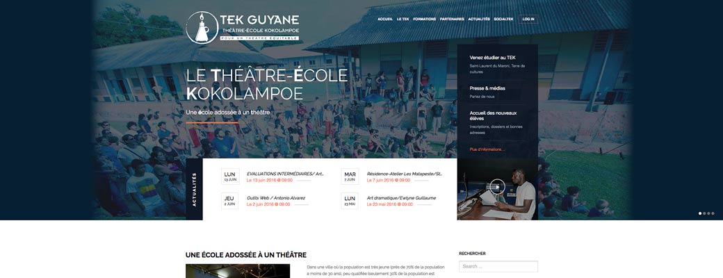 tekguyane.fr - Site wordpress