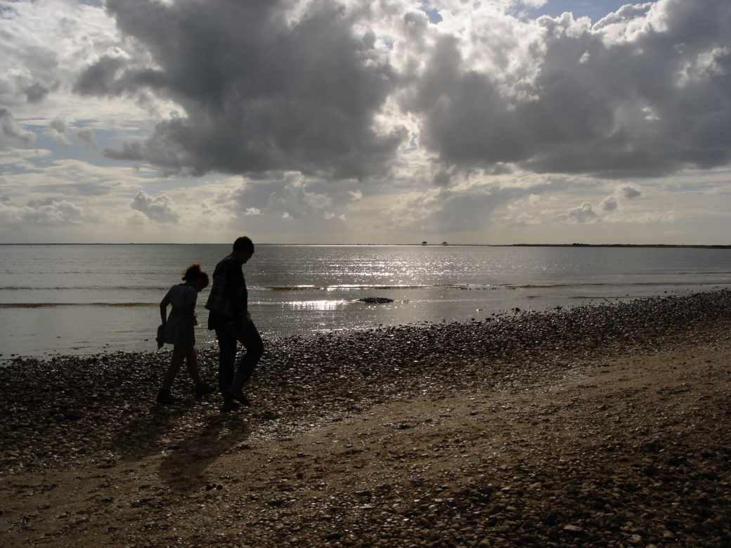 Passe aux Bœufs - En chemin vers l'ile Madame - Charentes-Maritime - © Antonio Alvarez - 2008