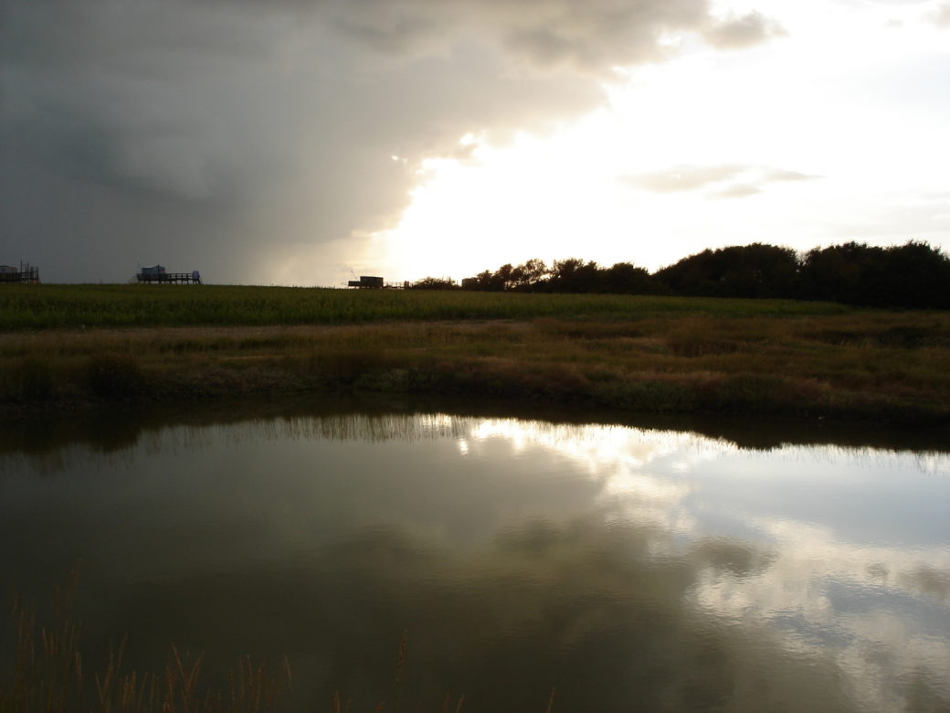 Charentes-maritimes - © Antonio Alvarez - 2008