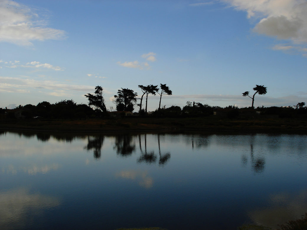 Charentes-Maritimes - © Antonio Alvarez, 2008