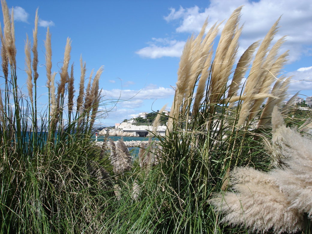 Plage du Prado, Marseille - © Antonio Alvarez - 2005