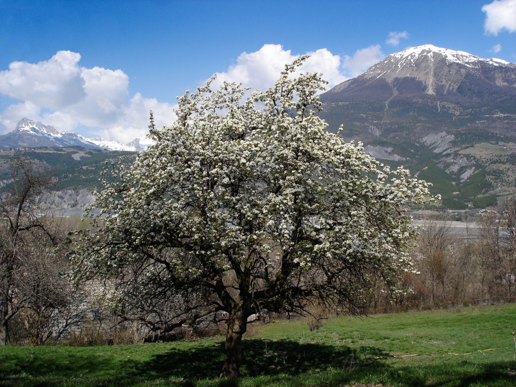 Chez Béné, Crots, Hautes-Alpes - © Antonio Alvarez - 2007