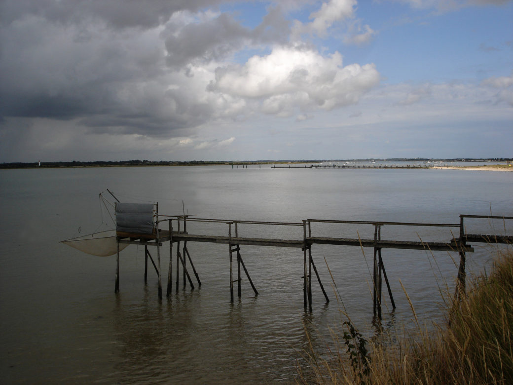 Charentes-maritime - © Antonio Alvarez - 2008